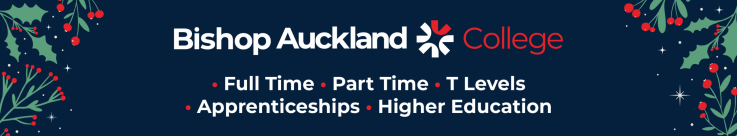 Christmas town web banner-01